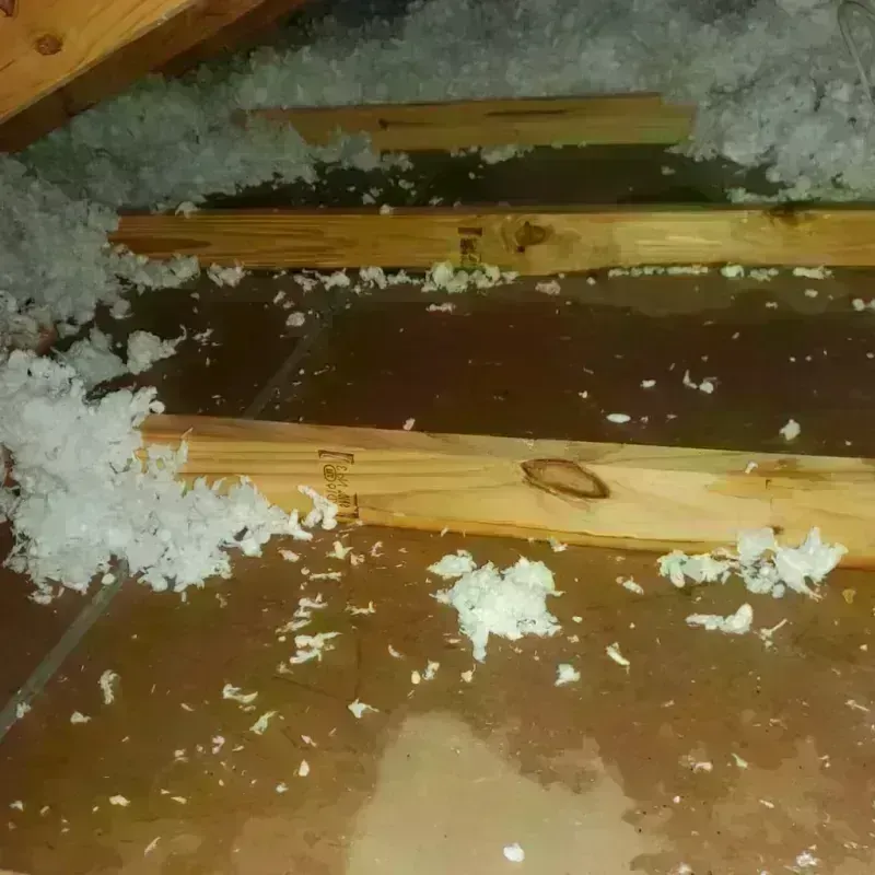 Attic Water Damage in South Wenatchee, WA