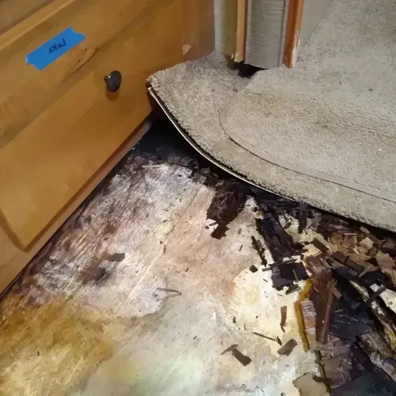 Best Wood Floor Water Damage Service in South Wenatchee, WA